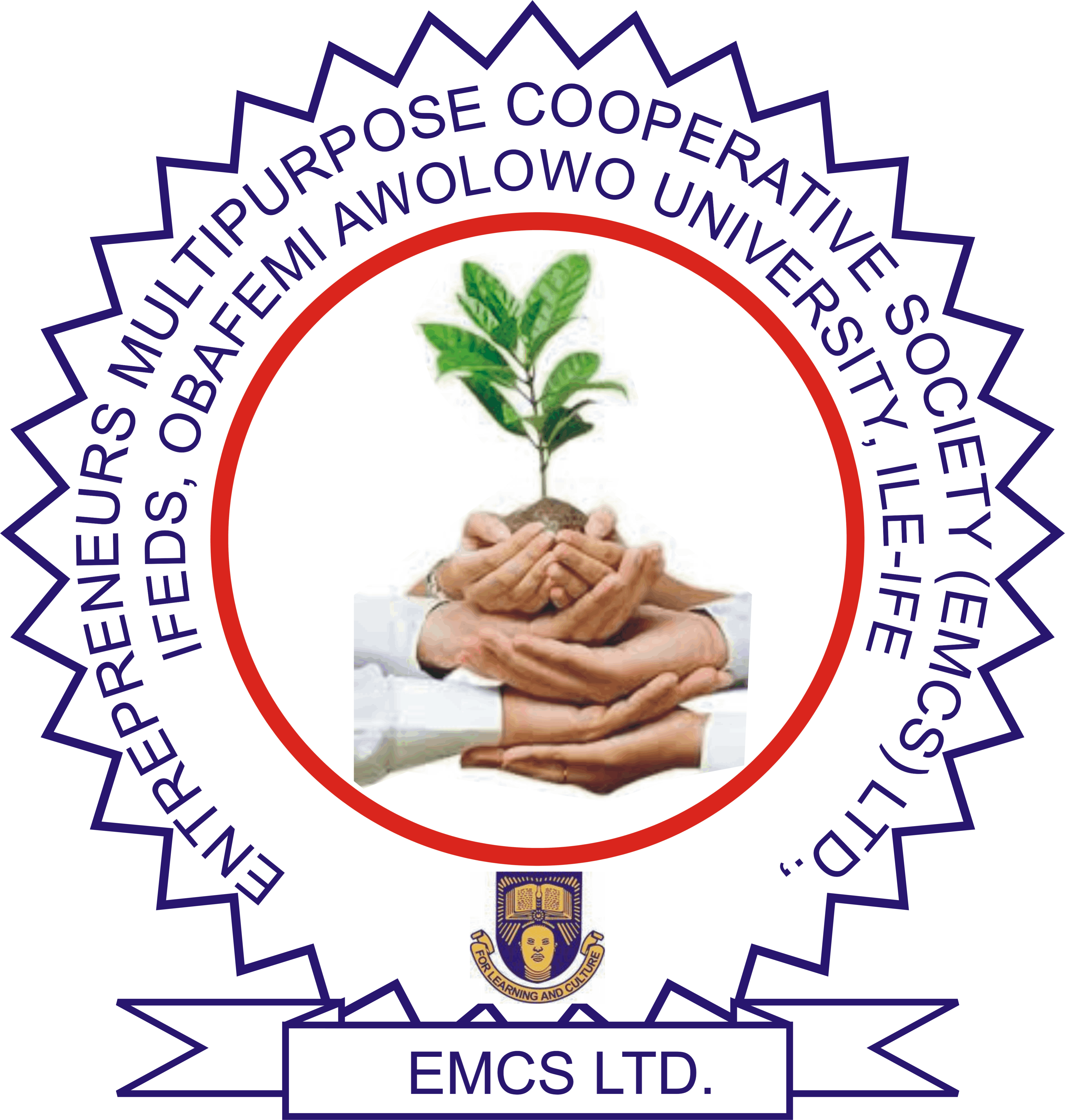 EMCS Ltd., IFEDS, OAU